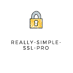 Really Simple SSL Pro v6.1.1