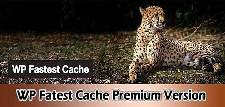 WP Fastest Cache Premium v1.6.5