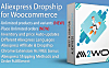 AliExpress Dropshipping Business 免费下载