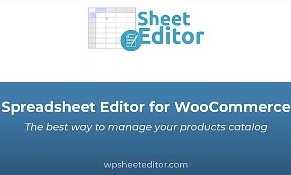 WP Sheet Editor Premium 